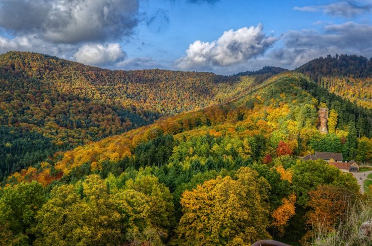 Fonds d'cran Nature Montagnes Vosges du Nord