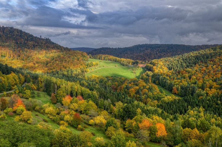 Fonds d'cran Nature Montagnes Vosges du Nord