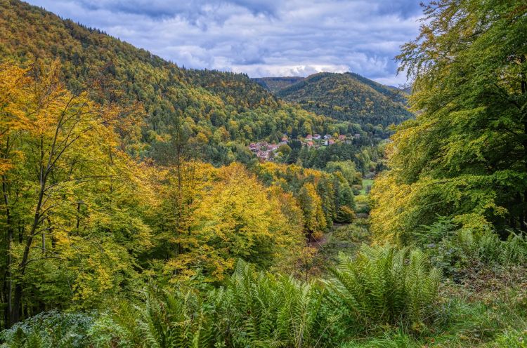 Wallpapers Nature Mountains Vosges du Nord