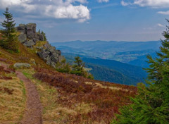  Nature Hautes Vosges