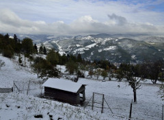  Nature Hautes Vosges