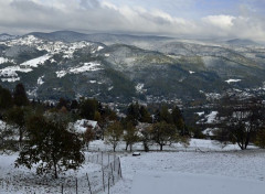  Nature Hautes Vosges