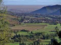  Nature Hautes Vosges