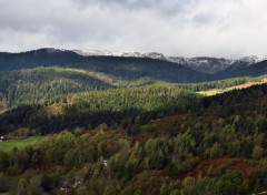  Nature Hautes Vosges