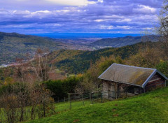  Nature Hautes Vosges