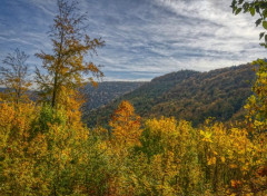 Fonds d'cran Nature Vosges du Nord