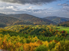  Nature Vosges du Nord