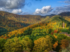  Nature Vosges du Nord