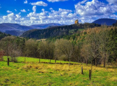  Nature Vosges du Nord