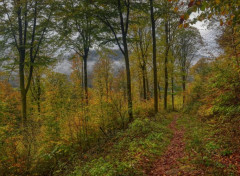  Nature Vosges du Nord