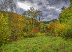  Nature Vosges du Nord