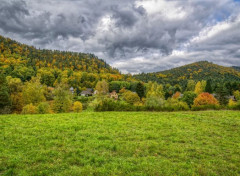  Nature Vosges du Nord