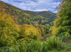  Nature Vosges du Nord