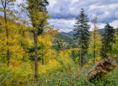  Nature Vosges du Nord