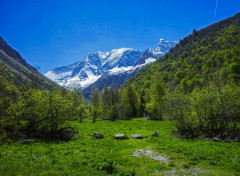  Nature Alpes