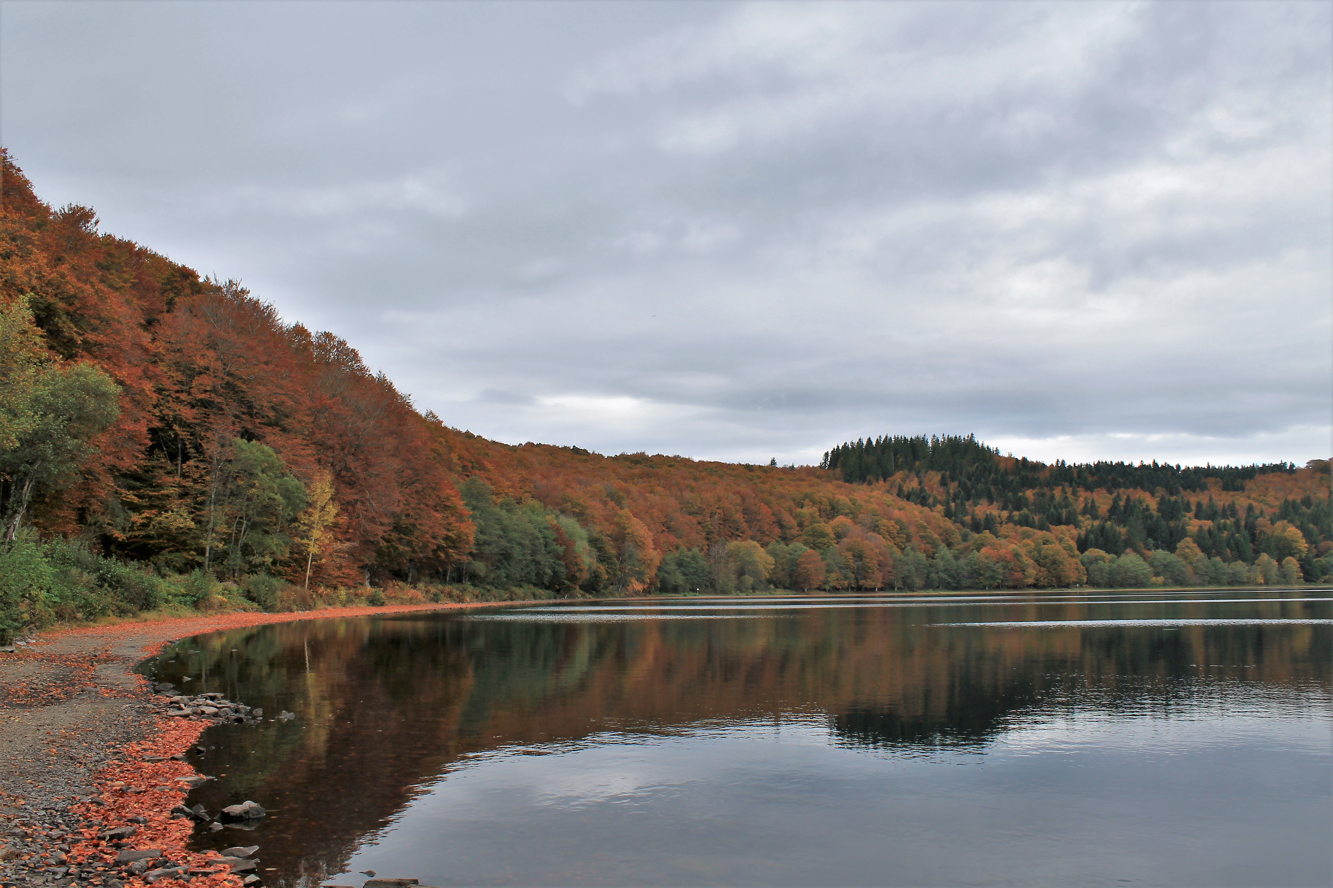 Wallpapers Nature Lakes - Ponds lac chauvet