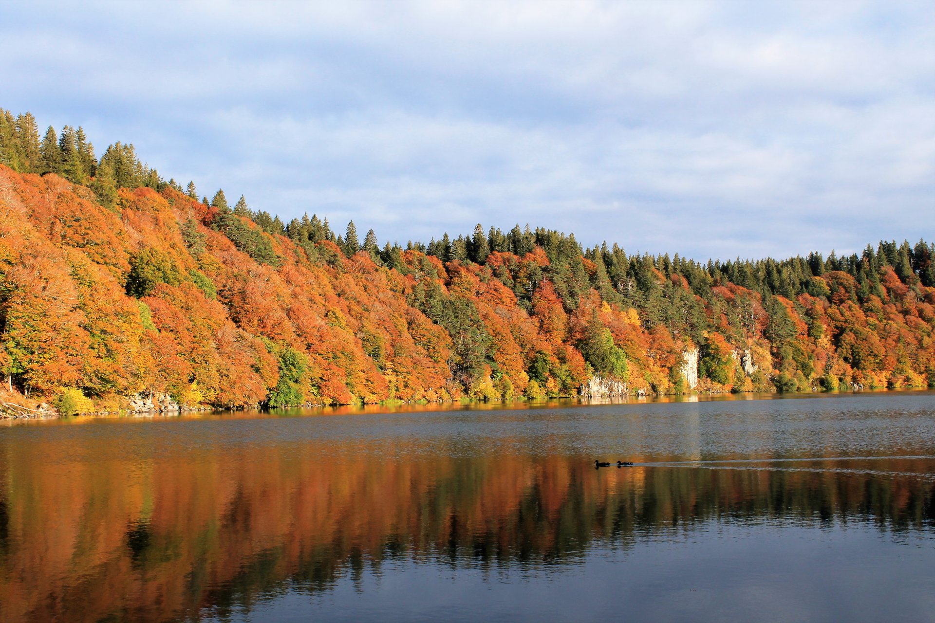 Fonds d'cran Nature Lacs - Etangs lac pavin