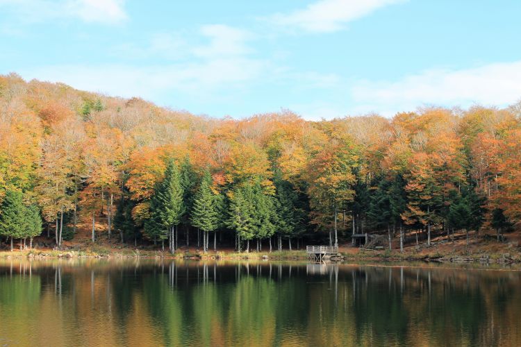 Fonds d'cran Nature Lacs - Etangs lac de gayme