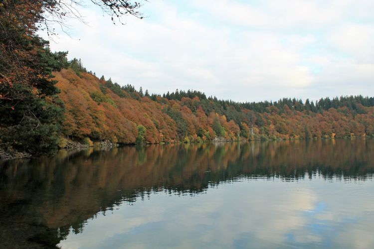 Fonds d'cran Nature Lacs - Etangs lac pavin