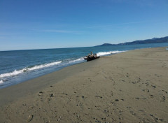  Nature La plage l'hiver