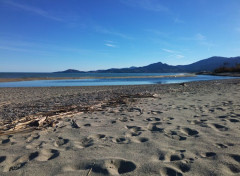  Nature La plage l'hiver