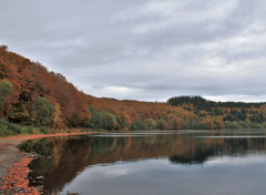  Nature lac chauvet