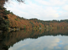  Nature lac pavin