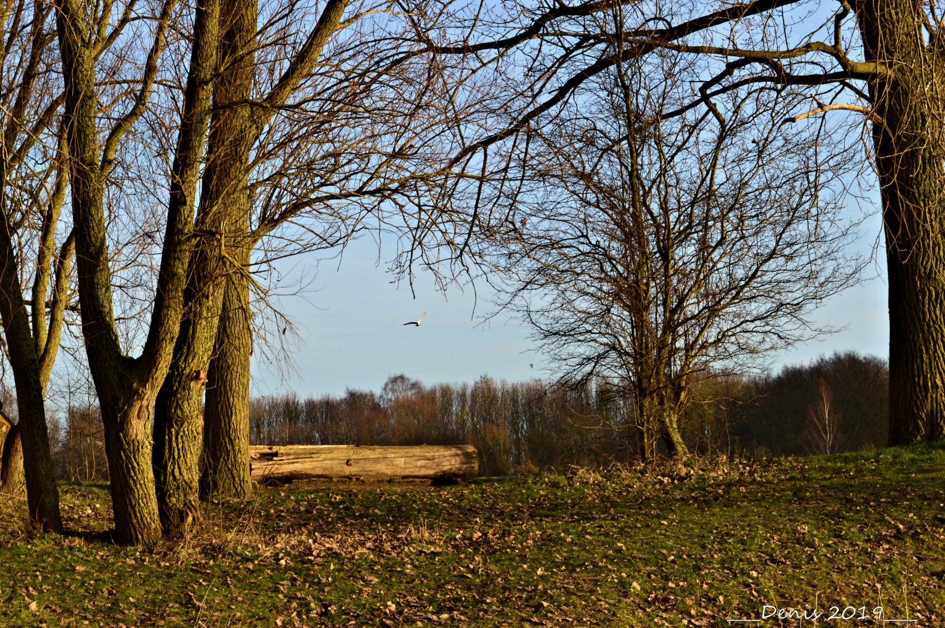 Wallpapers Nature Trees - Forests lac du hron et autour...