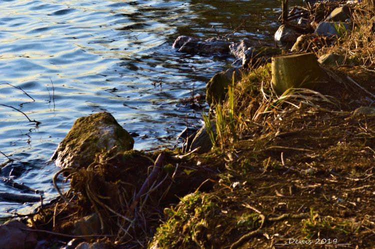 Fonds d'cran Nature Lacs - Etangs lac du hron et autour...