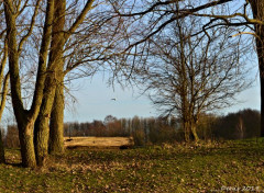  Nature lac du hron et autour...