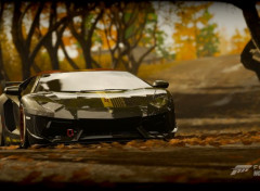  Jeux Vido FH4