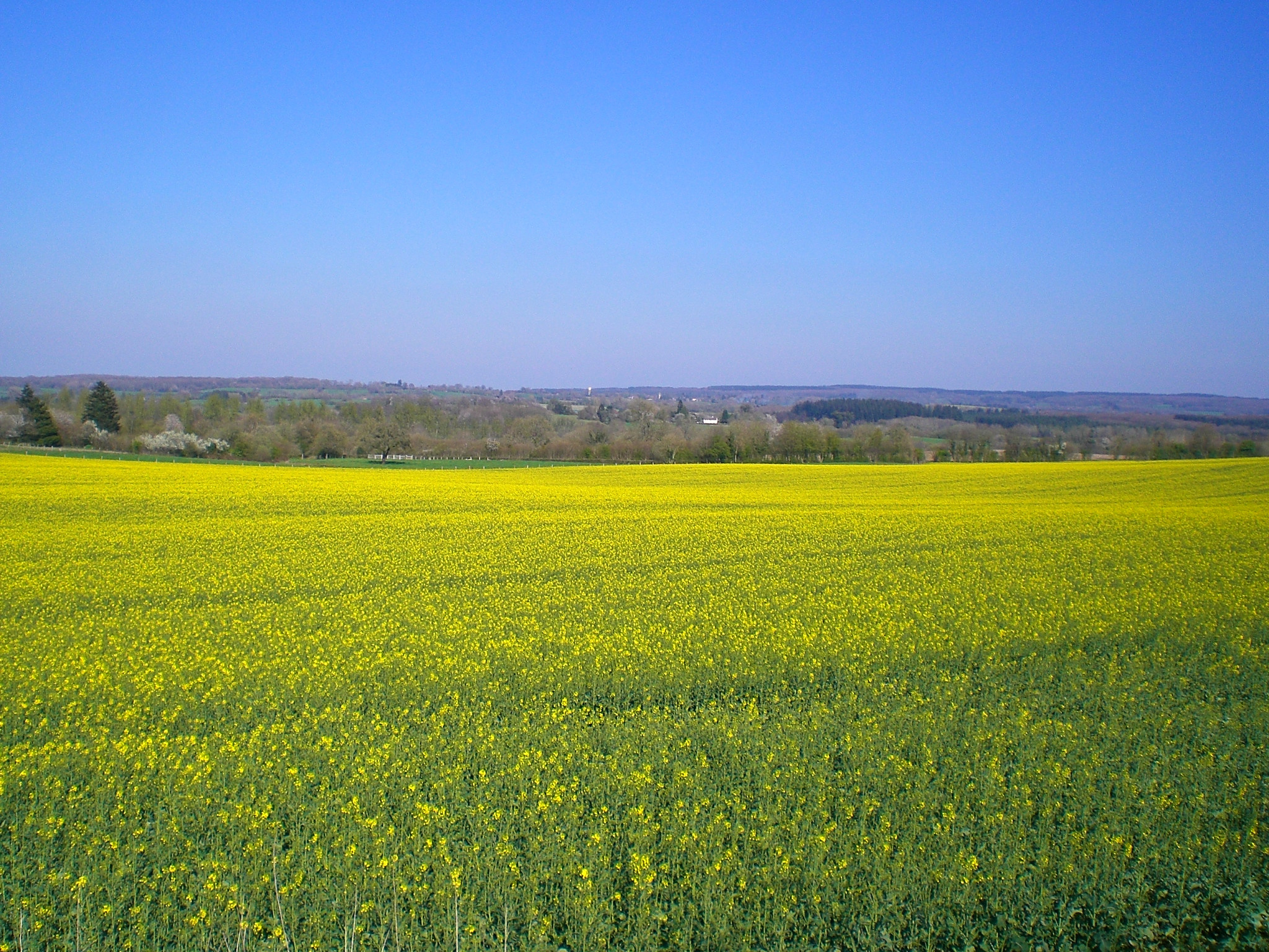 Fonds d'cran Nature Paysages Paysage 