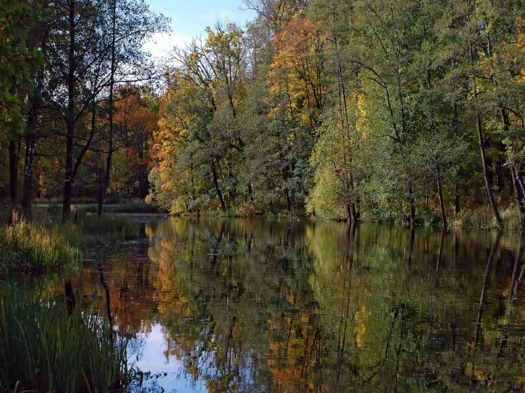 Wallpapers Nature Lakes - Ponds Bords du lac