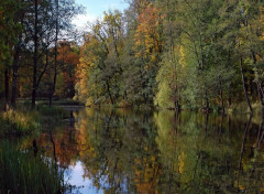  Nature Bords du lac