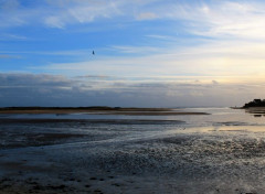  Nature guidel plage 