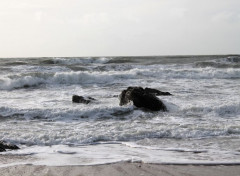  Nature guidel plage 