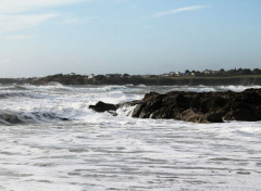  Nature guidel plage 