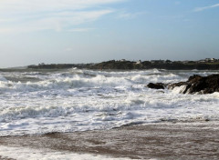  Nature guidel plage 