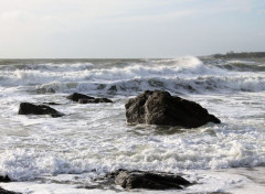  Nature guidel plage 