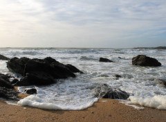  Nature guidel plage 