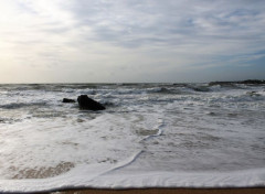  Nature guidel plage 