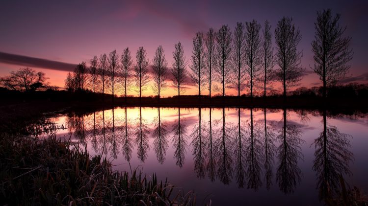 Fonds d'cran Nature Couchers et levers de Soleil Coucher de soleil sur les peupliers