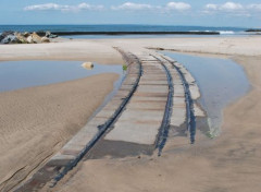  Nature soulac/mer gironde