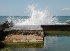  Nature soulac/mer gironde