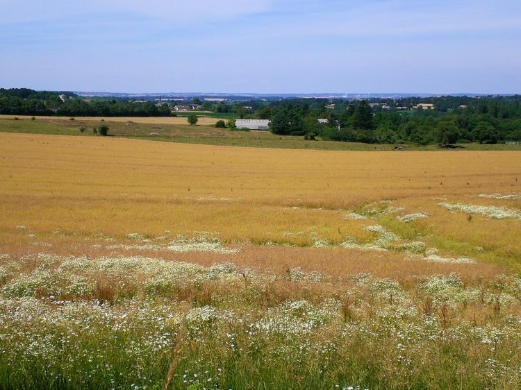 Wallpapers Nature Landscapes Paysage Normand