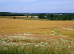  Nature Paysage Normand