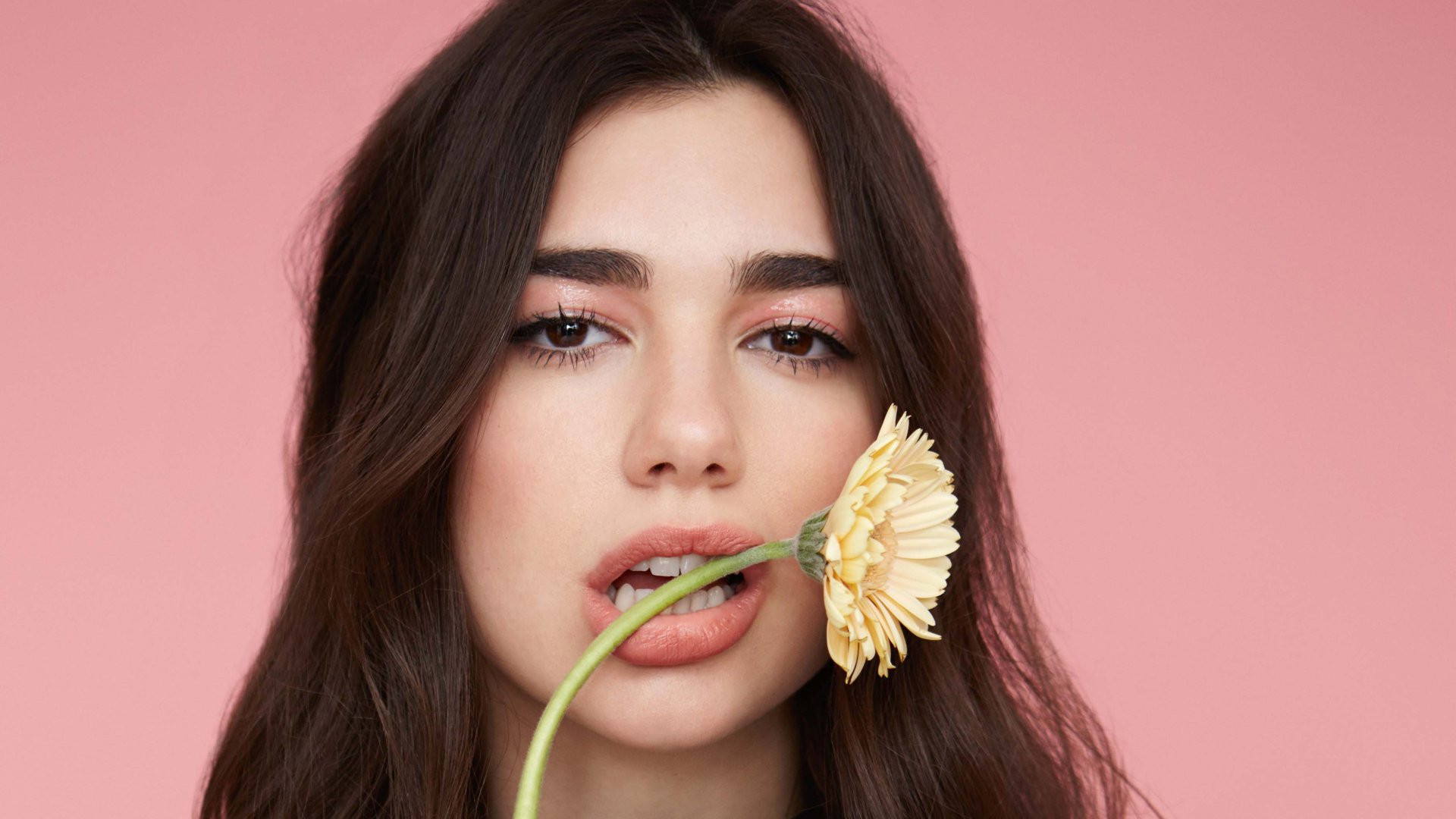 Wallpapers Music Dua Lipa 