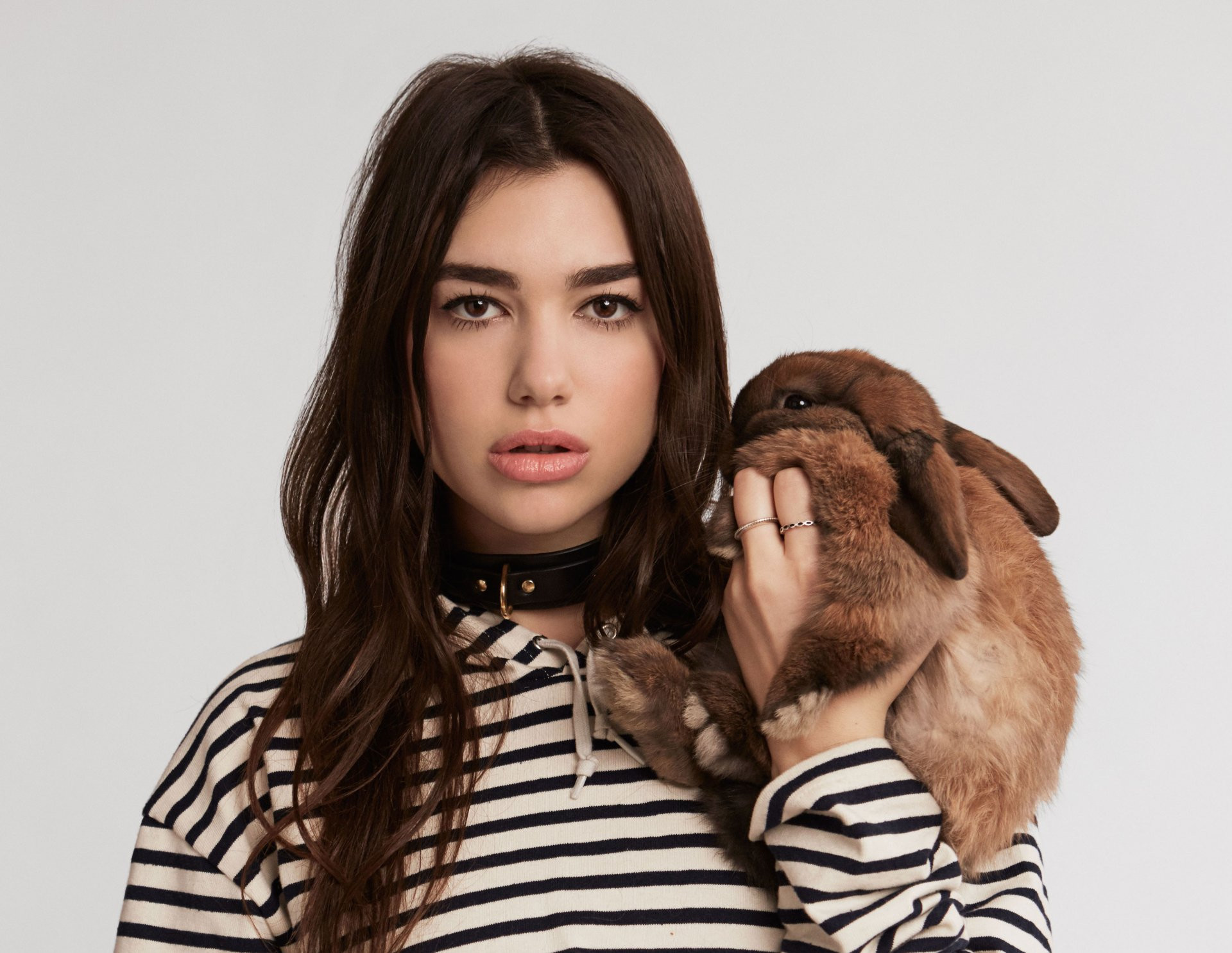 Wallpapers Music Dua Lipa 