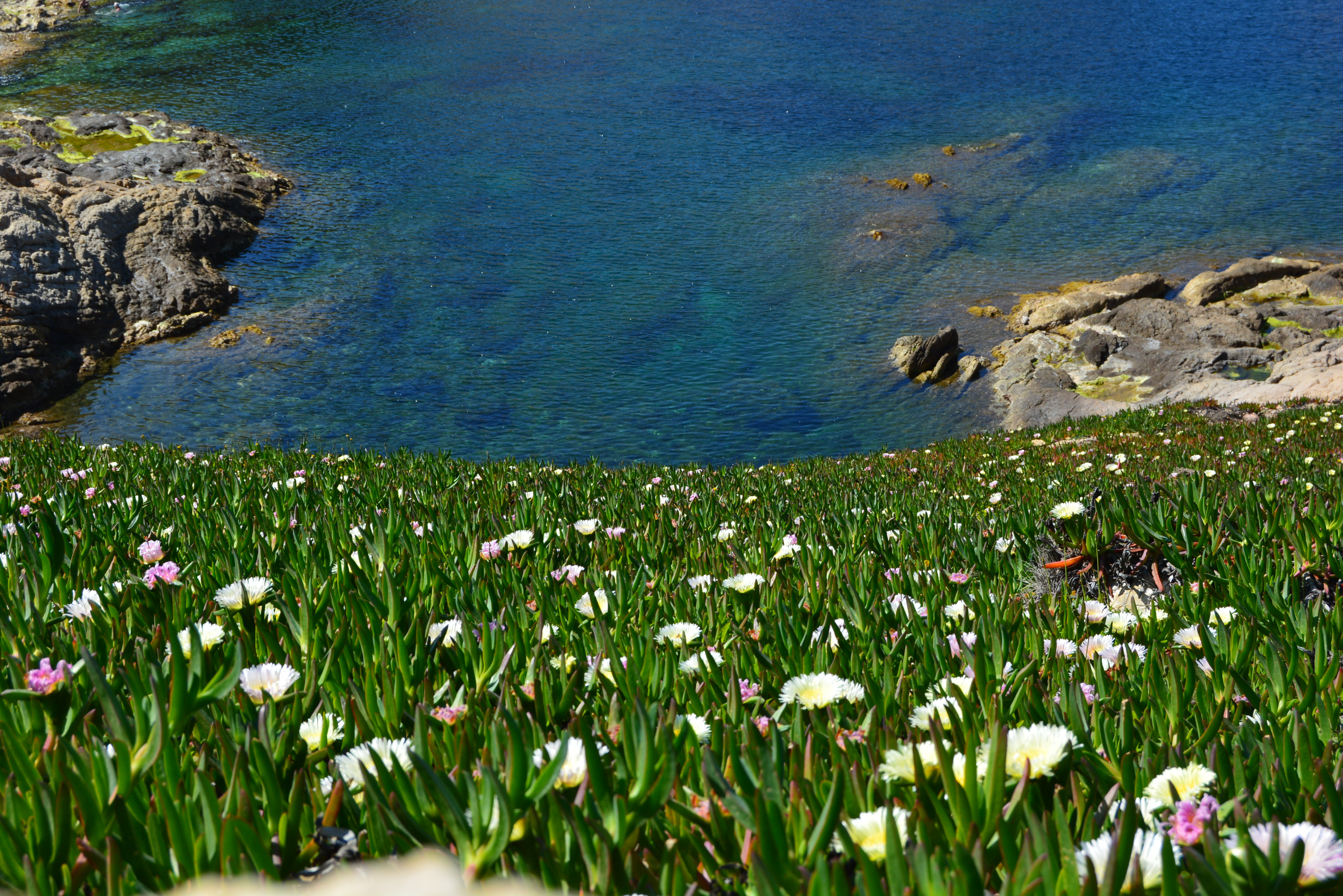 Fonds d'cran Nature Mers - Ocans - Plages L'Ile Rousse