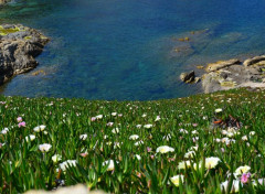  Nature L'Ile Rousse